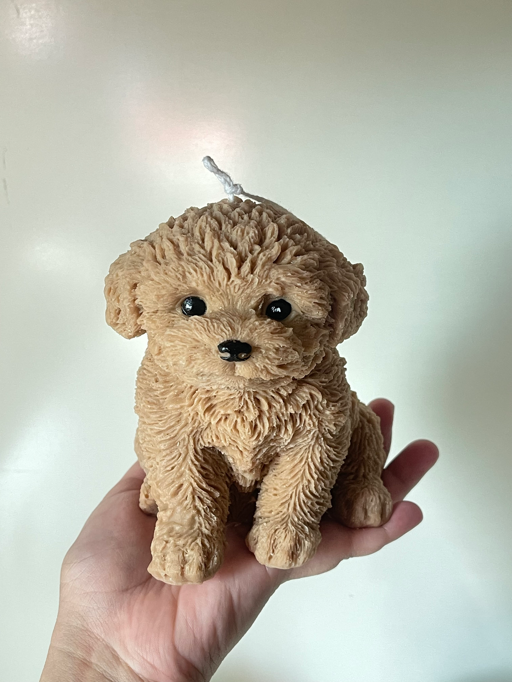Bruno Dog