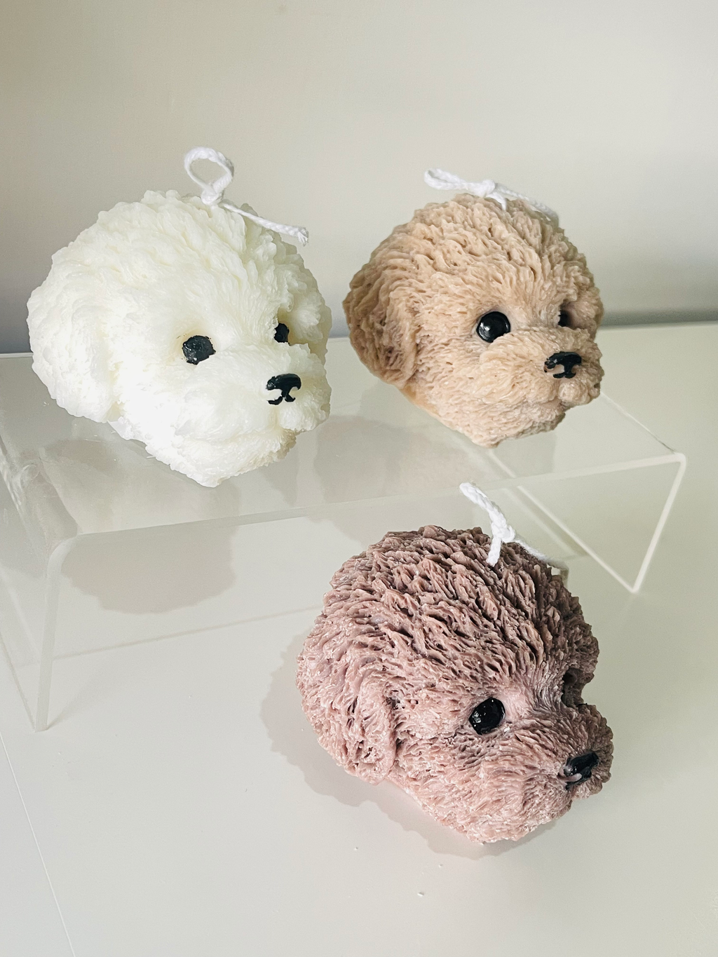 Pup Head